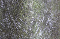 Nostie fibreglass roof work